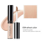 Waterproof Concealer Stick For Hide Blemish Face Eye Lip Creamy Concealer