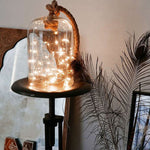 LED Starry String battery Lights for Christmas